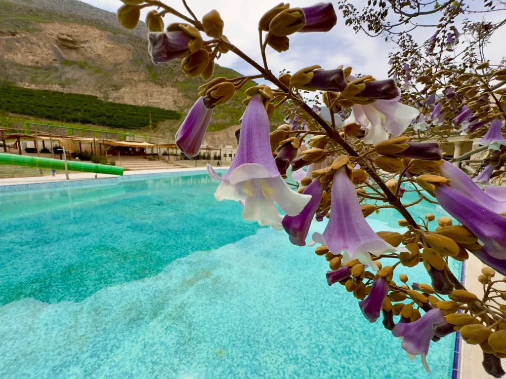 BESTE REISEZEIT TURKMENISTAN