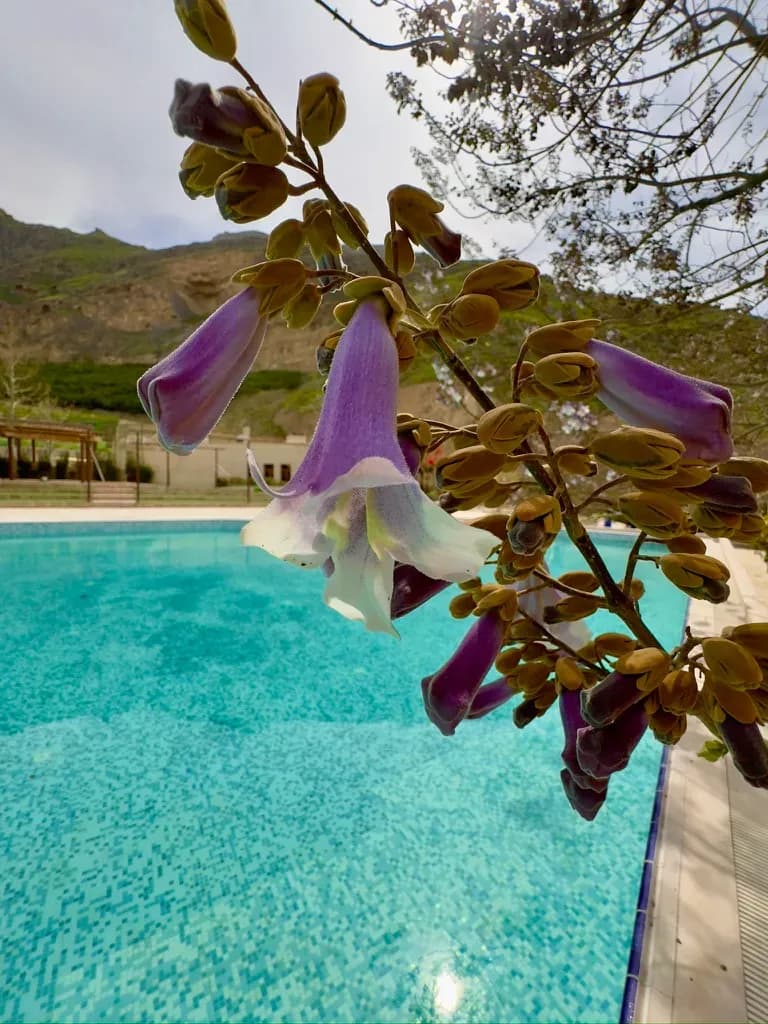 wie komme ich nach turkmenistan