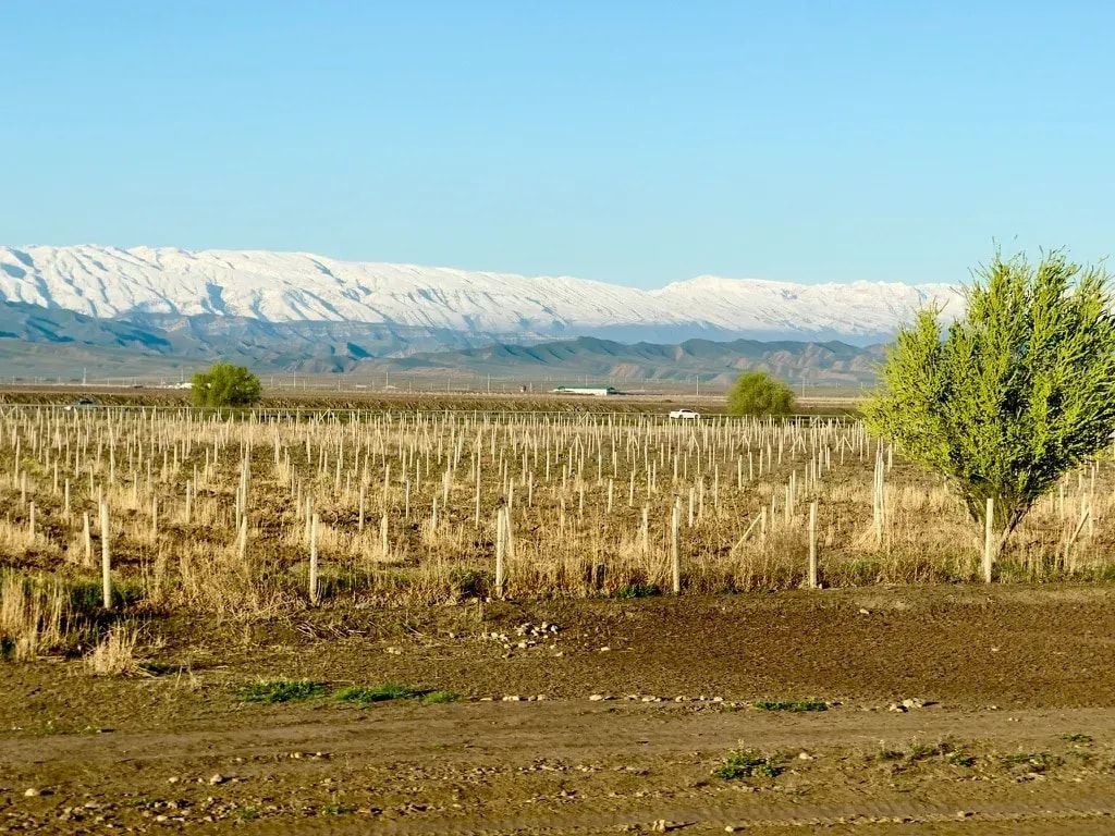 Länder der Seidenstrasse und Turkmenistan